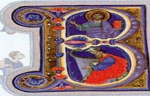 Owl Image